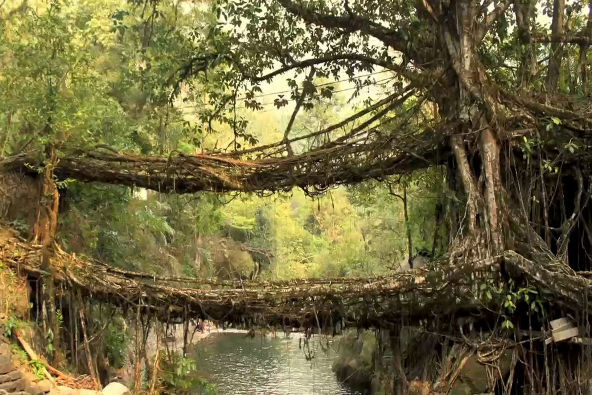 meghalaya