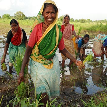 baba amte